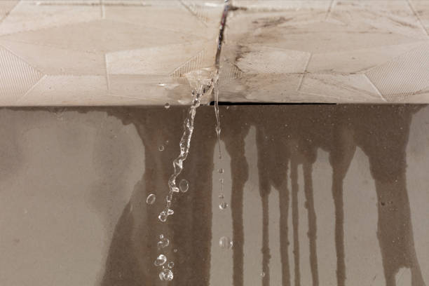 Professional Sewage Cleanup technician working in Fairfax, VA